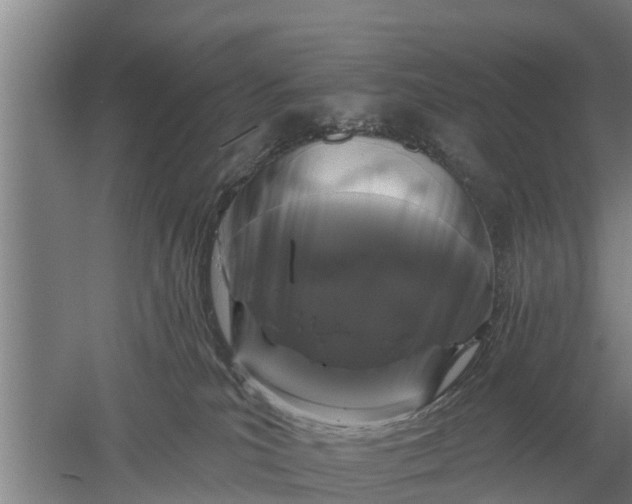 X0000052540039200507152144