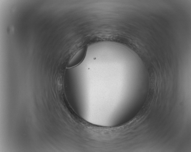 X0000052540040200507152144