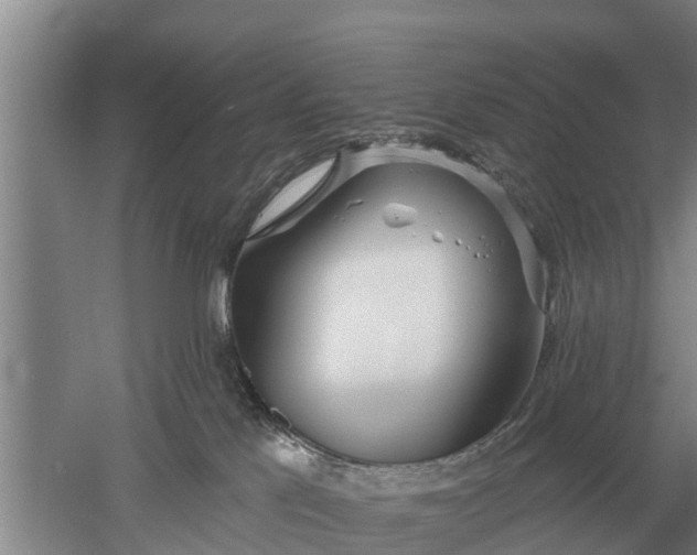 X0000052540041200507152144