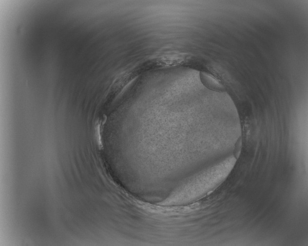 X0000052540042200507152144