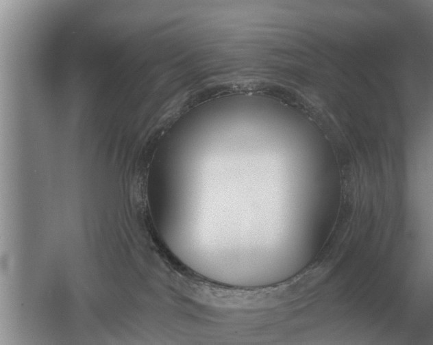 X0000052540044200507152144