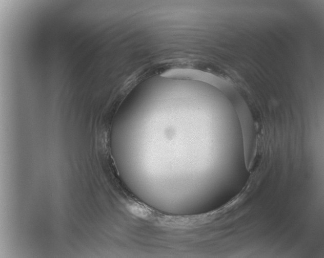 X0000052540045200507152144