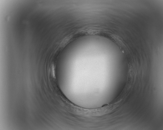 X0000052540046200507152144