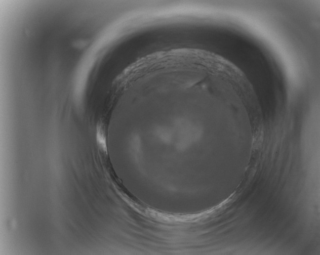 X0000052540047200507152144