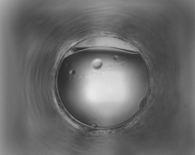 X0000052540049200507152143