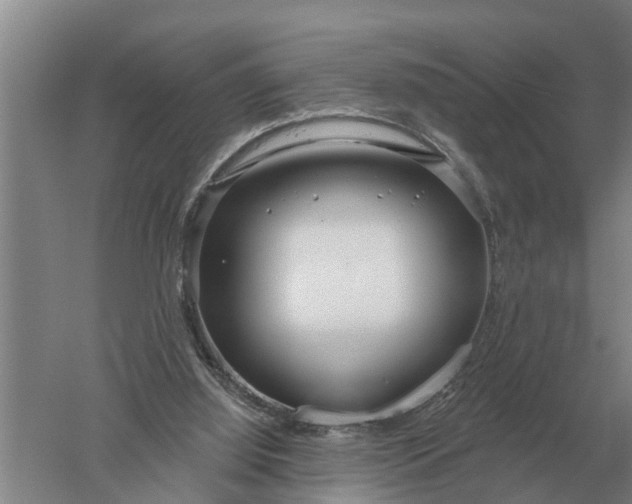 X0000052540060200507152143