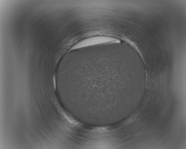 X0000052540061200507152143