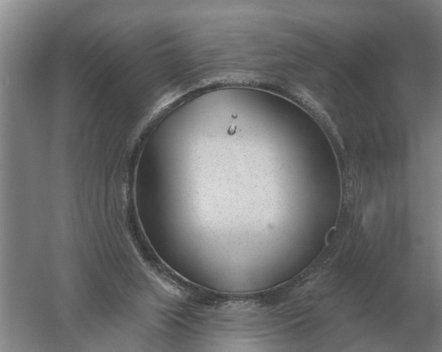 X0000052540063200507152143