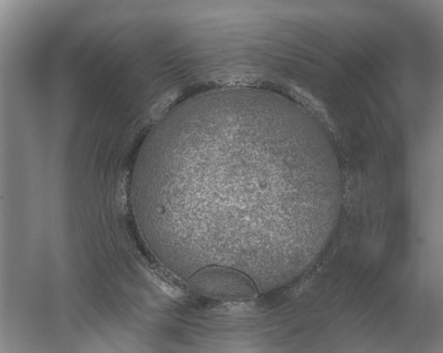 X0000052540065200507152144