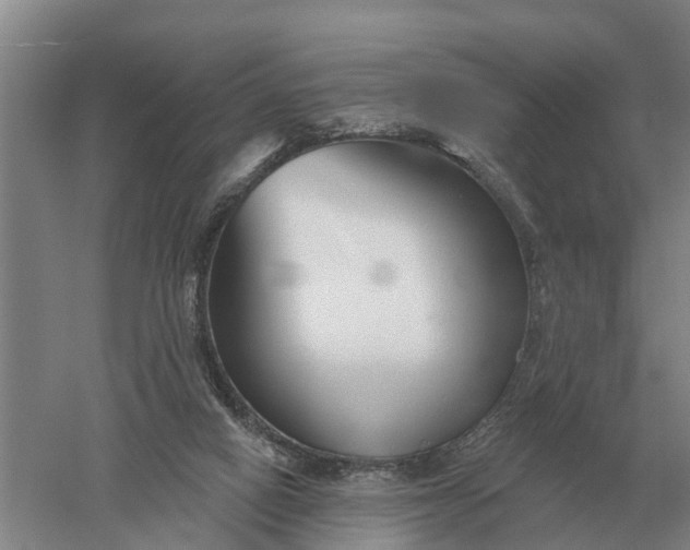 X0000052540066200507152144