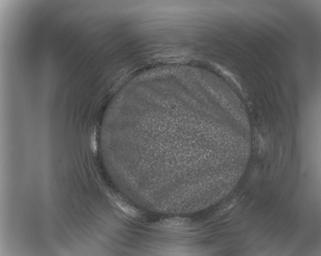 X0000052540069200507152144