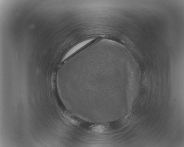 X0000052540074200507152144