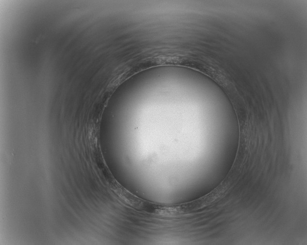 X0000052540079200507152144