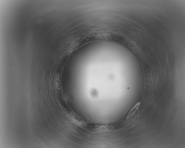 X0000052540083200507152144