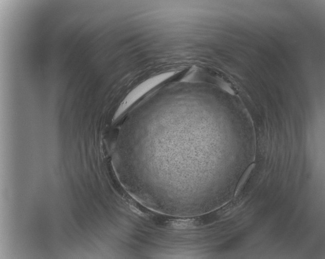 X0000052540085200507152144