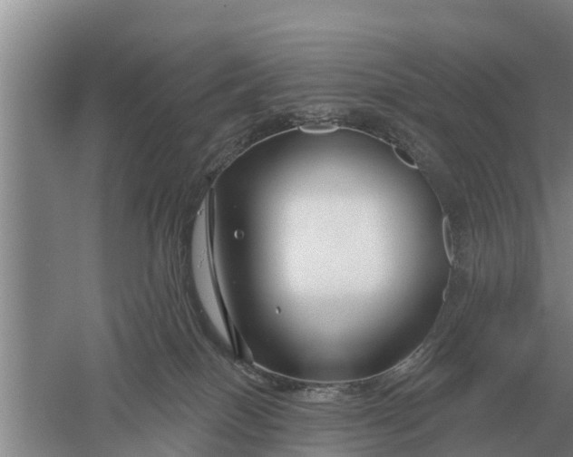 X0000052540086200507152144