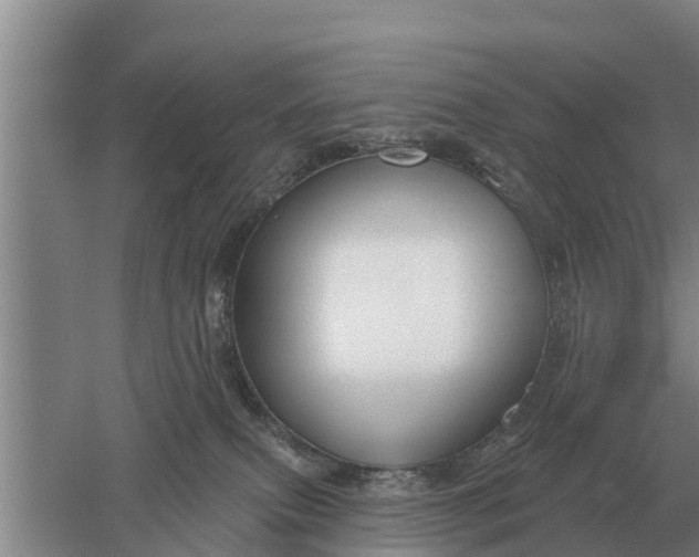 X0000052540087200507152144