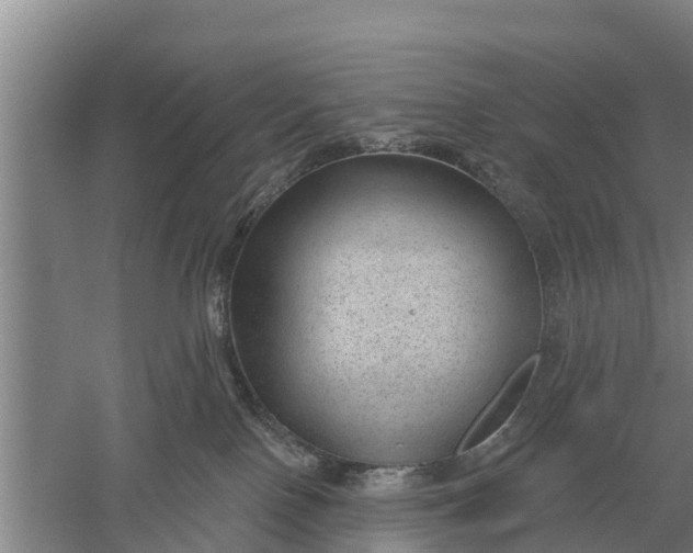 X0000052540090200507152144