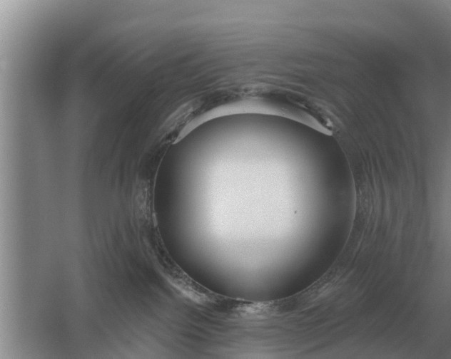 X0000052540092200507152144