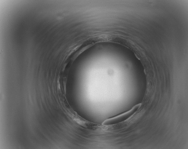 X0000052540096200507152144