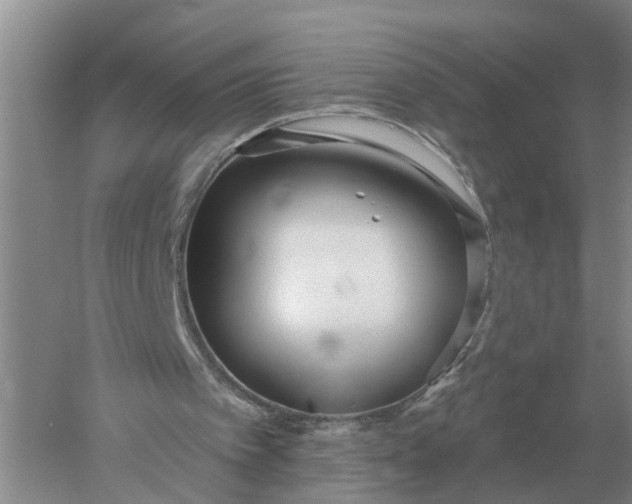 X0000052540097200507152143