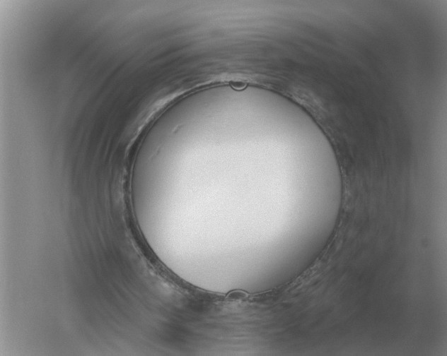 X0000052540098200507152143