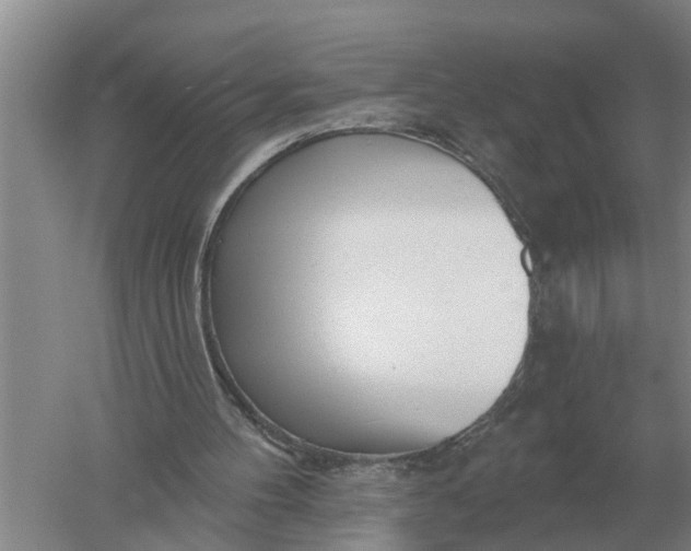 X0000052540100200507152143