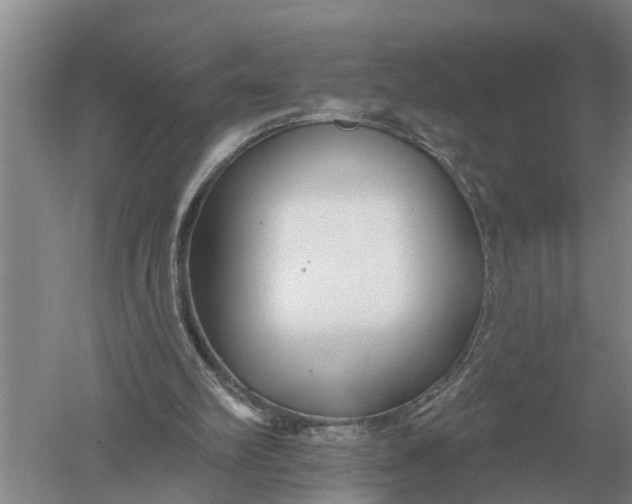 X0000052540102200507152143