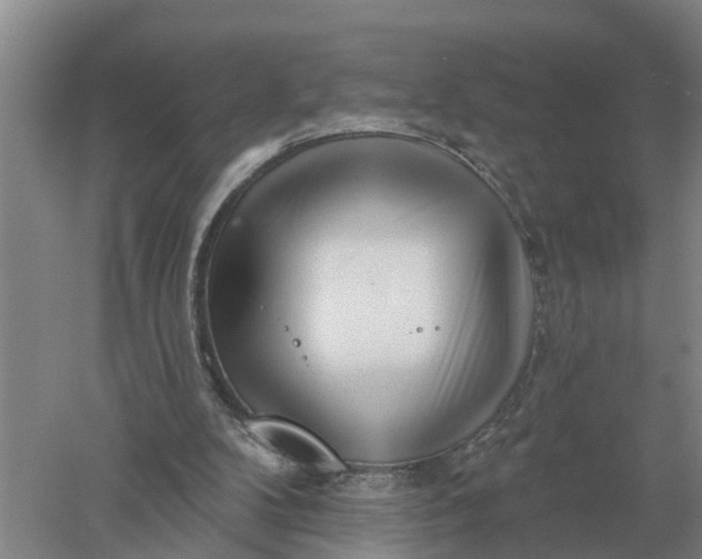 X0000052540104200507152143