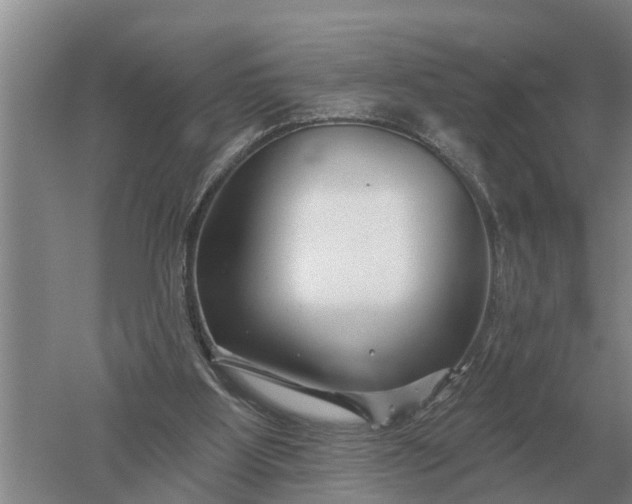 X0000052540107200507152143