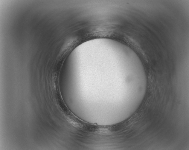 X0000052540114200507152143