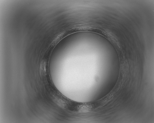 X0000052540115200507152143