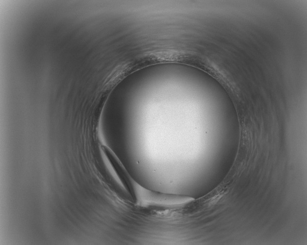 X0000052540117200507152143