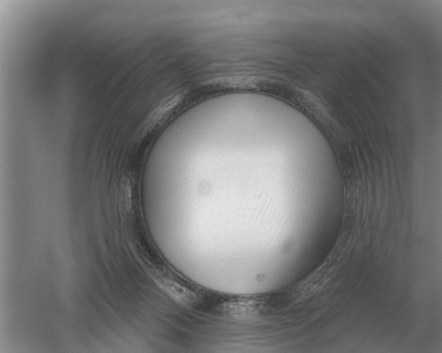 X0000052540120200507152143