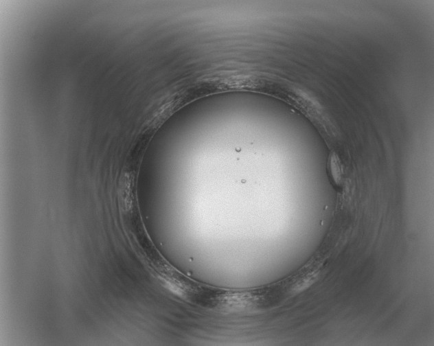 X0000052540121200507152143