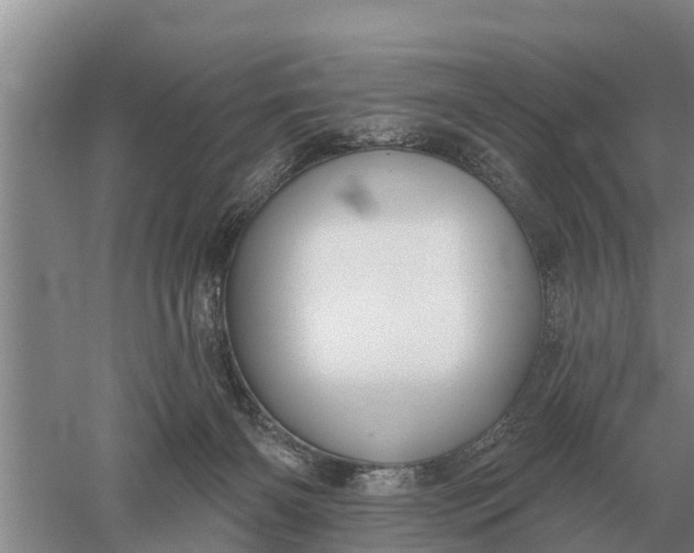 X0000052540126200507152143