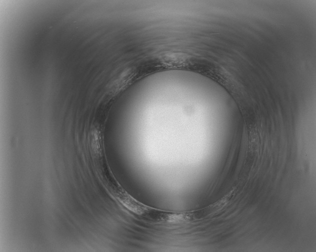 X0000052540130200507152143