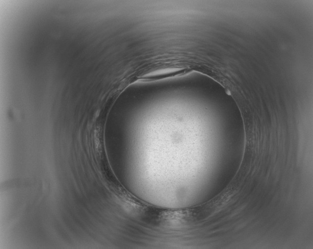 X0000052540131200507152143