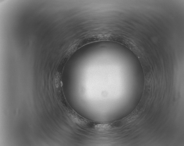 X0000052540133200507152143