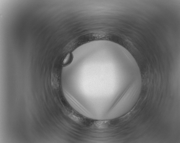 X0000052540136200507152143