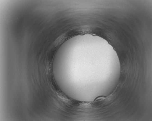 X0000052540140200507152142