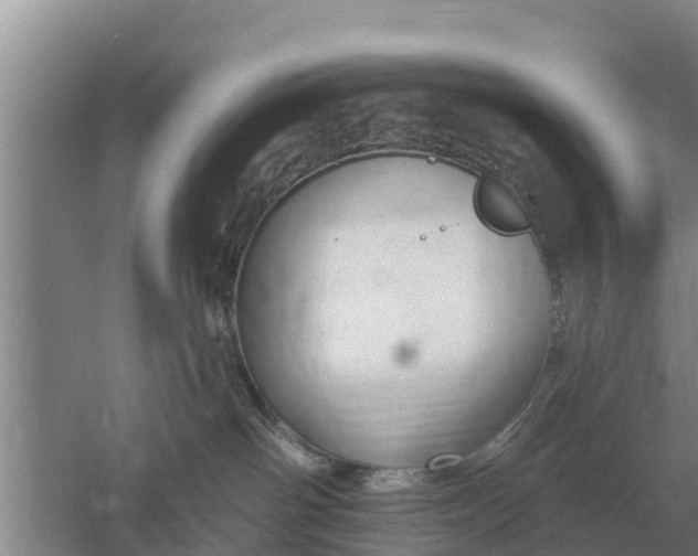 X0000052540142200507152142