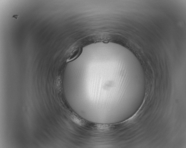 X0000052540144200507152142