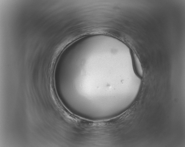 X0000052540145200507152142