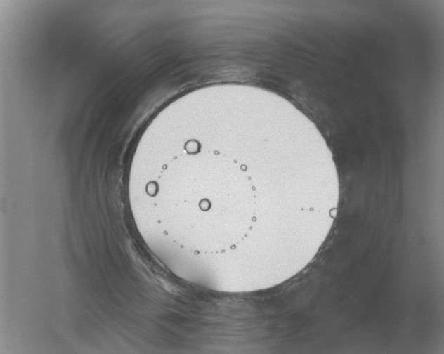 X0000052540146200507152142