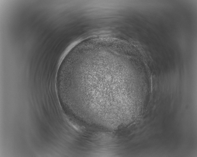 X0000052540147200507152142