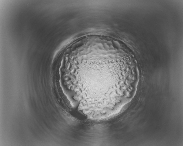 X0000052540149200507152142