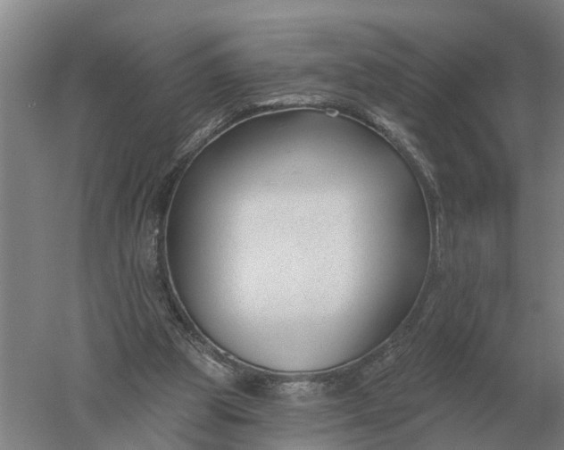 X0000052540153200507152142