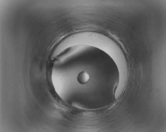 X0000052540154200507152142