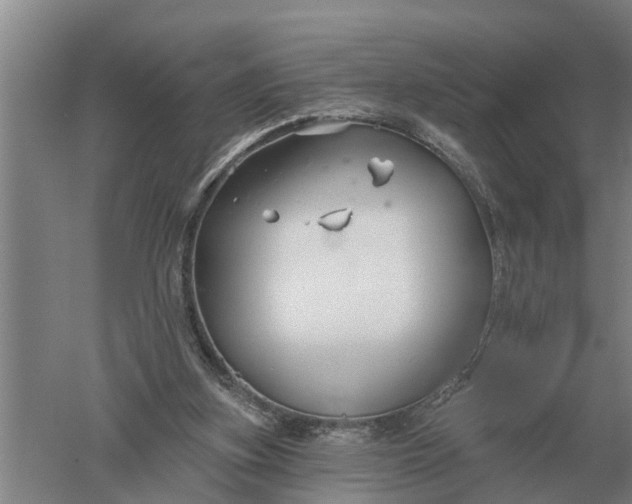 X0000052540155200507152142